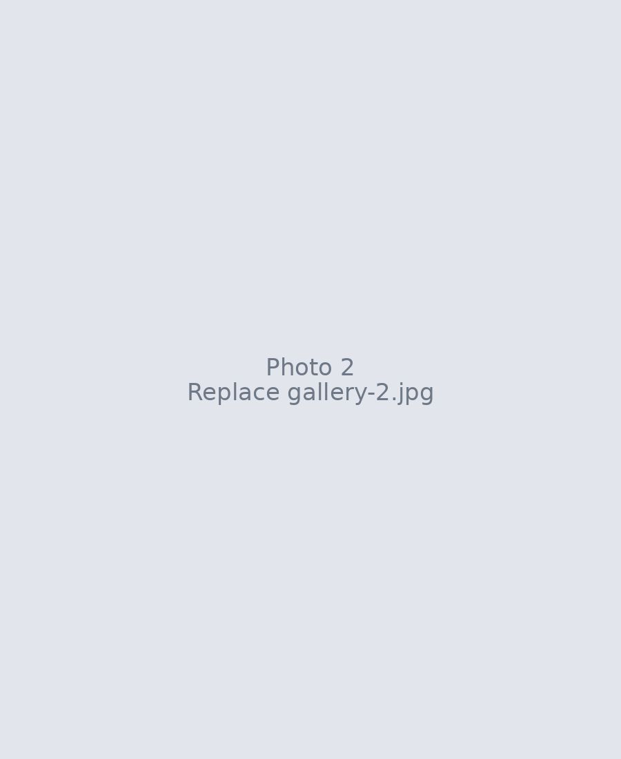 Replace with a caption